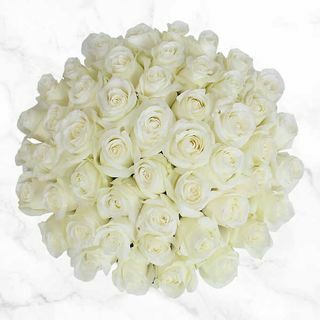 50 stiebų baltos rožės