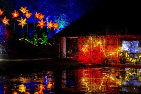 „RHS Garden Wisley Christmas Glow“ renginys