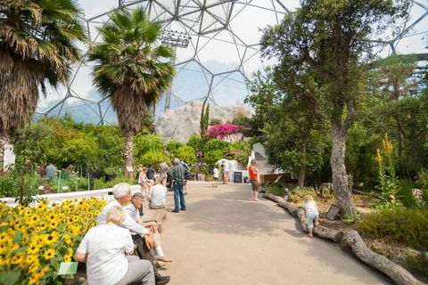 „Eden“ projekto lankytojai viename iš židinių kupolų