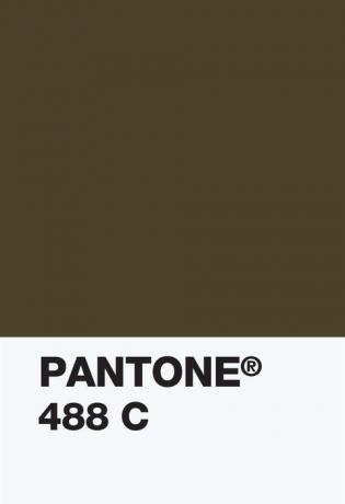 „Pantone Color Institue“ - spalvų rinkinys 448c - nepermatoma sofutė