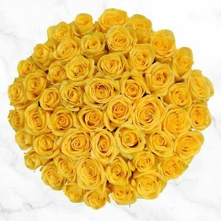 50 stiebų geltonos rožės