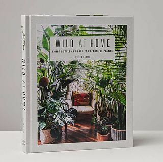 Laukiniai namuose: gražių augalų stiliaus ir priežiūros knyga