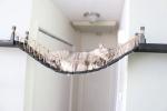 Šis Indianos Džounso stiliaus virvių katės tiltas yra geriausias „Etsy“ pardavėjas