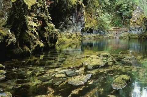 opan creek oregon pasauliai yra bjauriausios spalvos