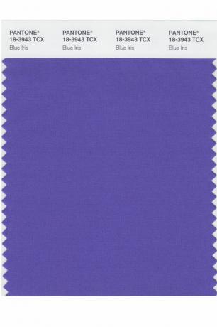 „Pantone“ metų spalva: 2000–2019 m