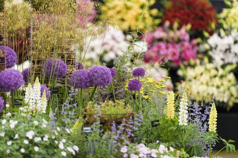 „RHS Chatsworth Flower Show 2017“ nuotrauka su gėlėmis iš aliuminio.