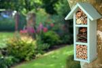 5 geriausi Alys Fowler patarimai, kaip pritraukti bites į savo sodą