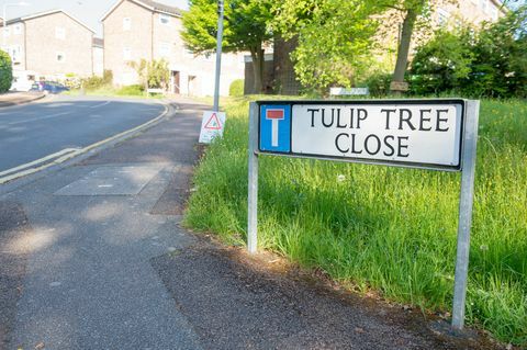 „Tonbridge“ - „Tulip Tree Close“ - „Royal Mail“