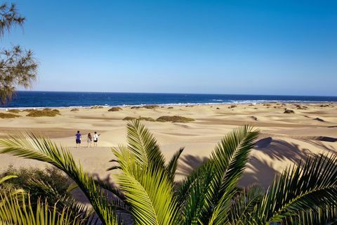 Smėlio kopos Maspalomas, Gran Kanarija, Kanarų salos, Ispanija