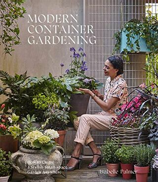 Šiuolaikinė sodininkystė konteineriuose: kaip bet kur sukurti stilingą mažos erdvės sodą