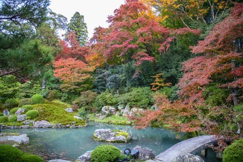 Kioto sodas „Shren-In Shren-In Monzeki“