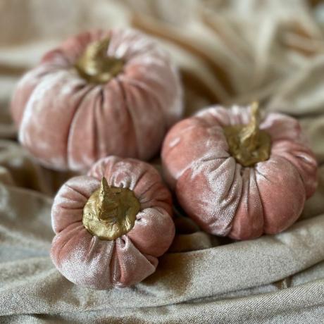 Pliušiniai tamsiai rožiniai Velvet Pumpkins