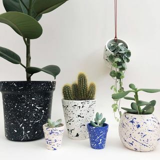 „Mini Splatter Plant Pots“ pasirinkite savo spalvas