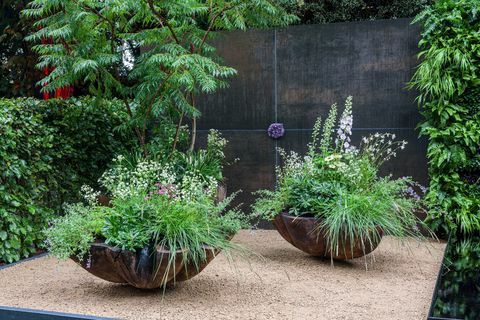 Rhs Chelsea gėlių paroda 2021 m. konteinerių sodai