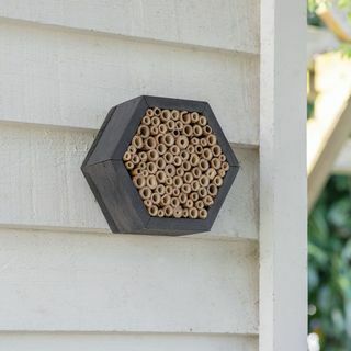 Šetlando šešiakampis bičių namas