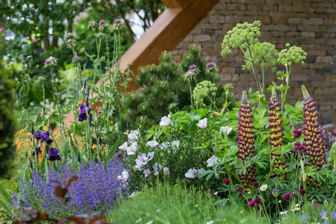 Morgano Stanley sodas. Sukūrė: Chrisas Beardshaw. Rėmėjai: Morganas Stanley. „RHS Chelsea Flower Show 2017“.