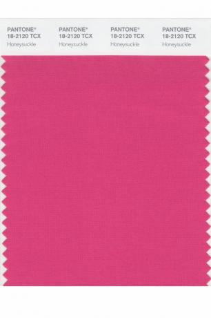 „Pantone“ metų spalva: 2000–2019 m