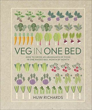 Daržovė vienoje lovoje: kaip auginti maisto gausą vienoje pakeltoje lovoje kiekvieną mėnesį