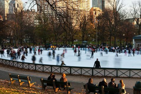 Bostono varlių tvenkinys