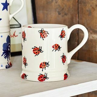 Emma Bridgewater vabzdžių Ladybird puodelis