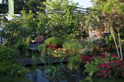 „B&Q„ Burminging Busy Lizzie Garden “- RHS Hampton Court rūmų gėlių paroda 2018 m