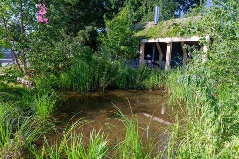 „Breckland Beauty“ - RHS Hampton Court rūmų gėlių paroda 2018