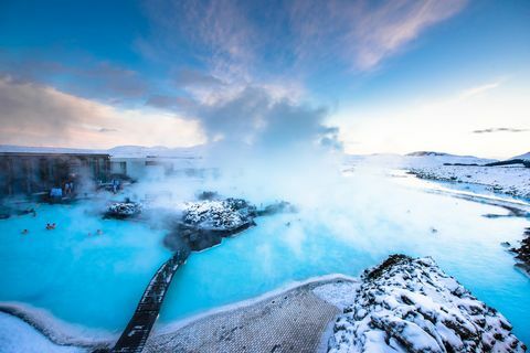 Milteliai mėlyni - Islandija