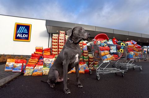 Aldi - „Pet Event“ serija - maistas