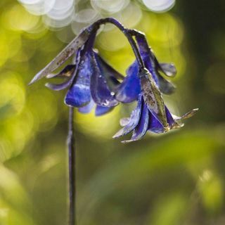 Bluebell rankų darbo perdirbto metalo sodo skulptūra