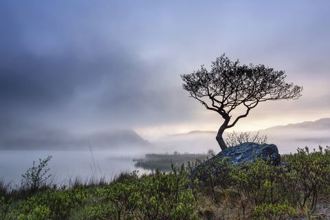 Vadovo laureatas George'as Evansas, Llyn Dinas, Craflwyn ir Beddgelert