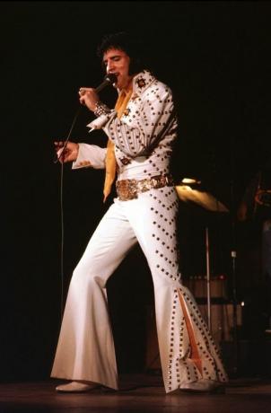 Elvis Presley 1974 m