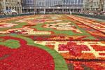 Šis įspūdingas gėlių kilimas pagamintas iš 700 000 Begonijos žiedlapių
