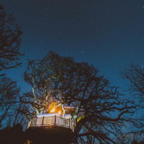 Medžių viršūnės Treehouse - Devon - naktis - Canopy & Stars