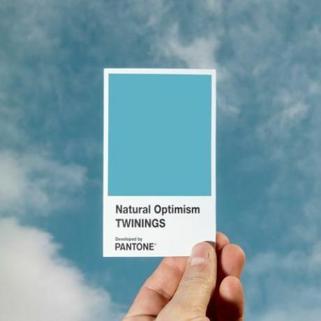 Dvyniai sukuria natūralų optimizmą kartu su „Pantone“