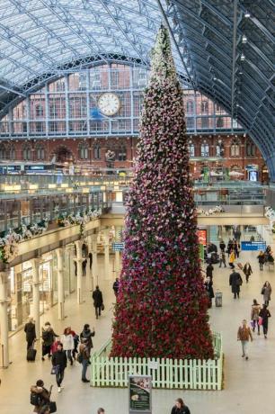 47 pėdų gėlių kalėdinė eglutė atidengta St Pancras tarptautinėje stotyje, Londone.