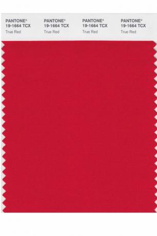 „Pantone“ metų spalva: 2000–2019 m