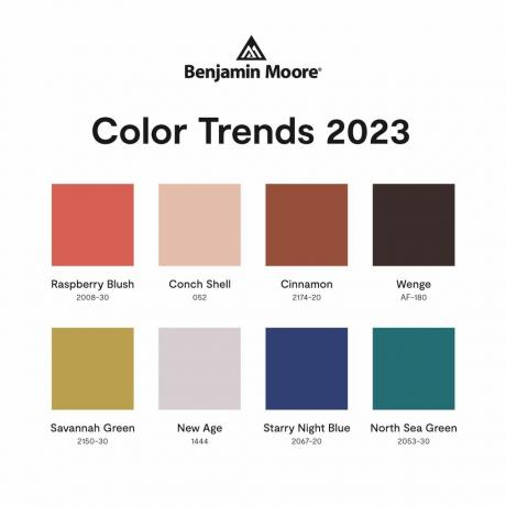 spalvų tendencijų paletė Benjamin Moore 2023 metų spalva