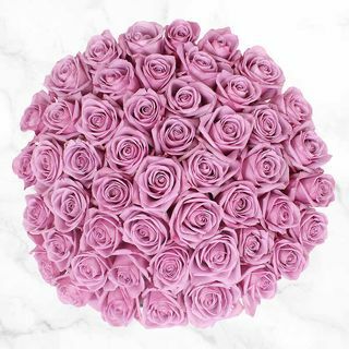 50 stiebų purpurinės rožės