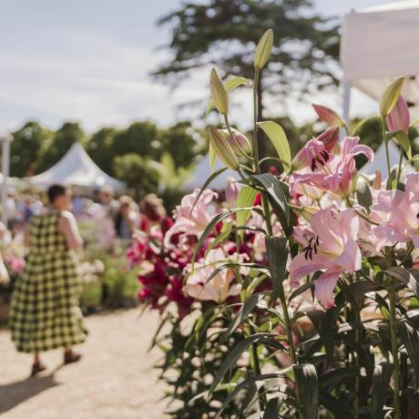 lankytojai, apsiperkantys augalų kaime Rh Hampton Court gėlės po valandos renginyje