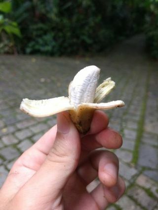 mažytis bananas