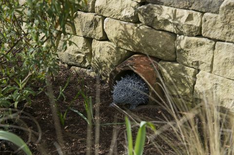 RHS Harlow Carr mieste, Šiaurės Jorkšyre, atidengtas pirmasis nuolatinis Gyvatvorių gatvės sodas JK.