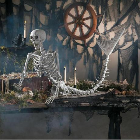 Undinėlės skeletas 