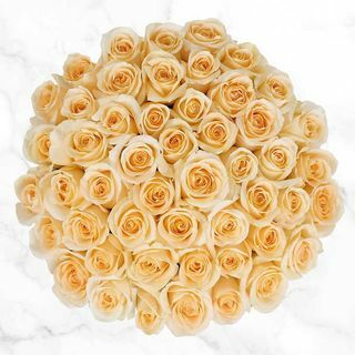 50 stiebų blyškiai geltonos rožės