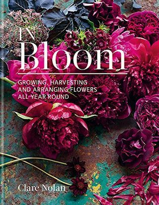 „Bloom“: gėlių auginimas, derliaus nuėmimas ir išdėstymas ištisus metus