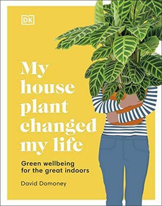 Mano namų augalas pakeitė mano gyvenimą: žalios gerovės puoselėjimas patalpose