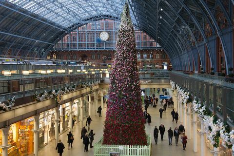 47 pėdų gėlių kalėdinė eglutė atidengta St Pancras tarptautinėje stotyje, Londone.