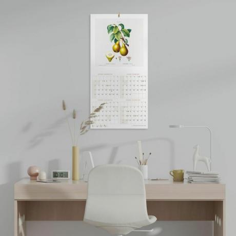 2024 m. botanikos sieninis kalendorius 
