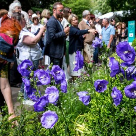 minios lankytojų stebi sodo dizainą Londone, Anglijoje, 2019 m. gegužės 22 d. atidarytoje „Rh Chelsea“ gėlių parodoje. Nuotrauka: dominika zarzyckanurphoto