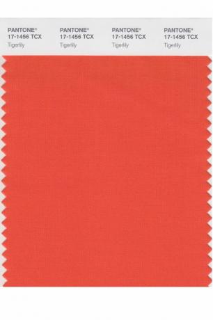 „Pantone“ metų spalva: 2000–2019 m