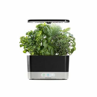 „AeroGarden“ derlius